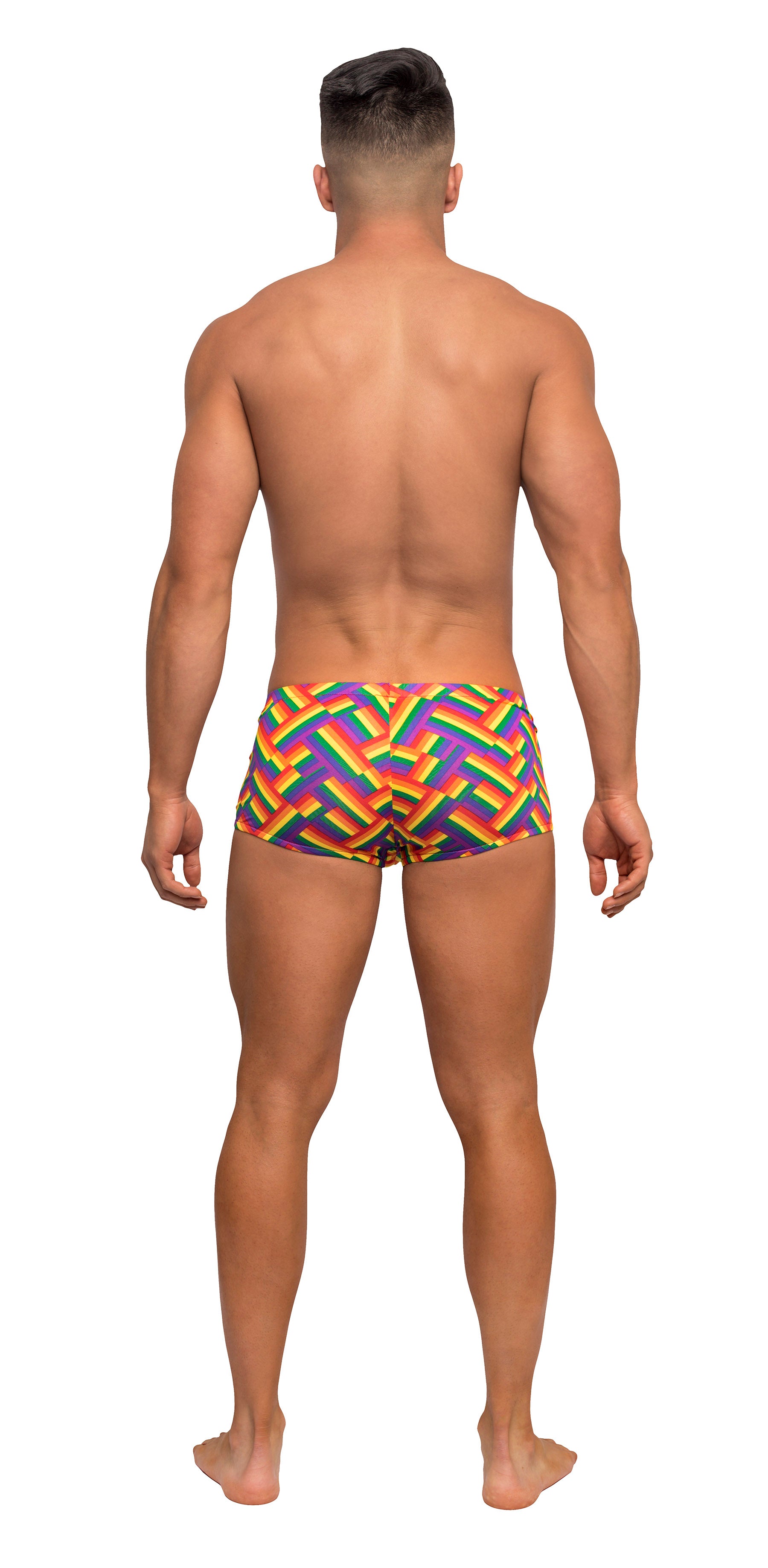 Pride Fest - Mini Short - Large - Print